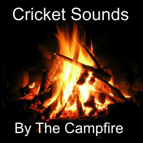 Cricket Sounds By The Campfire