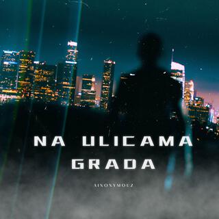 NA ULICAMA GRADA