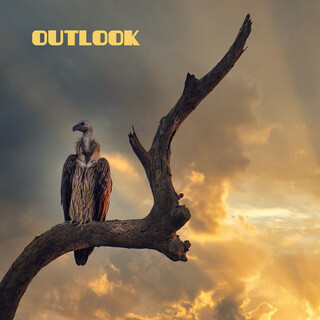 Outlook