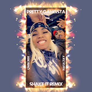 Shake It remix