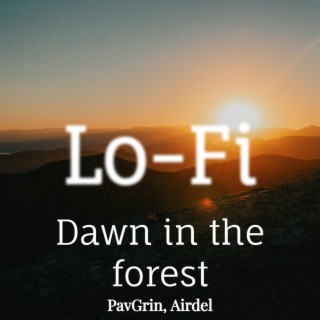 Dawn in the forest