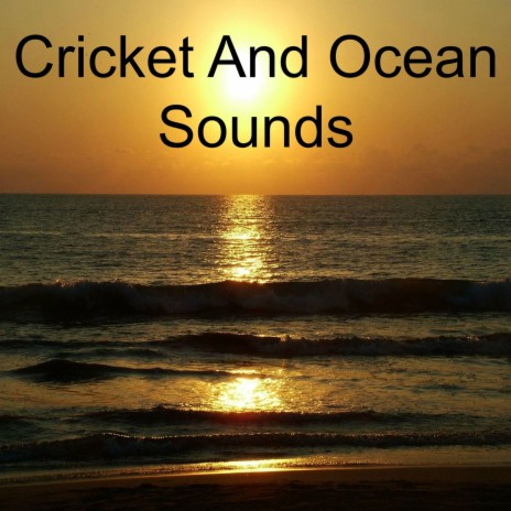 Cricket And Ocean Sounds | Boomplay Music