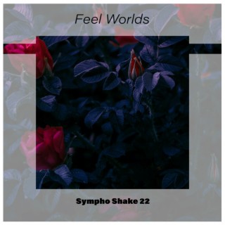 Feel Worlds Sympho Shake 22