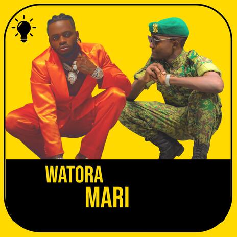 Watora Mari ft. Diamond platnumz & Jay prayzah | Boomplay Music