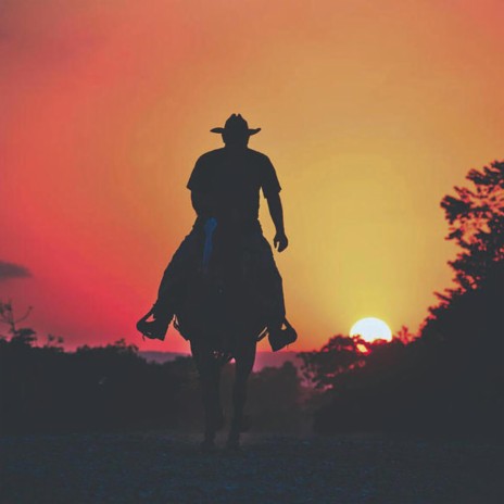 the lonely cowboy | Boomplay Music