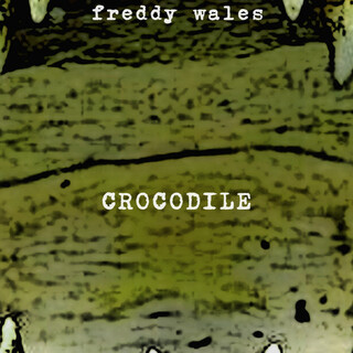 Crocodile