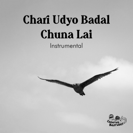 Chari Udyo Badal Chuna Lai (Instrumental) | Boomplay Music