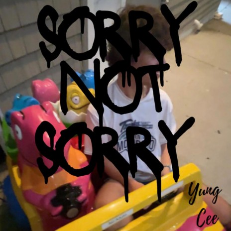 sorry not sorry | Boomplay Music
