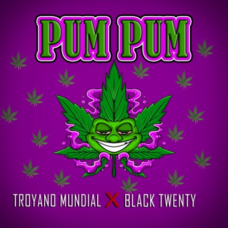 Pum Pum ft. Black Twenty | Boomplay Music