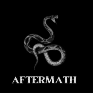 Aftermath Band