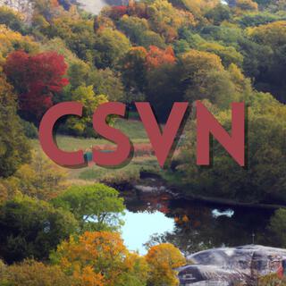 CSVN