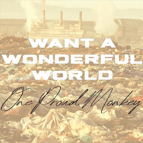 Want a Wonderful World | Boomplay Music