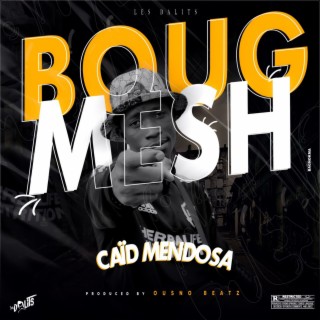 Boug mesh