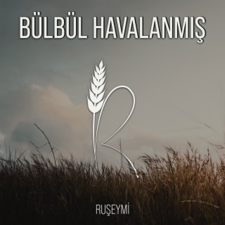 Bülbül Havalanmış Yüksekten Uçar (Akustik)