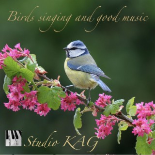 Birds singing and good music