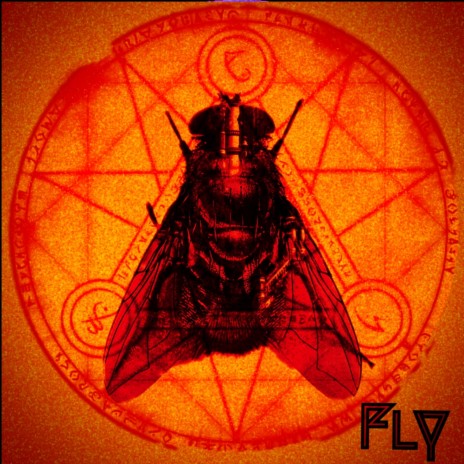 Fly (Instrumental) | Boomplay Music