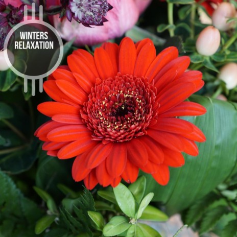 Relay on Meditation (Solo Piano A Major) | Boomplay Music