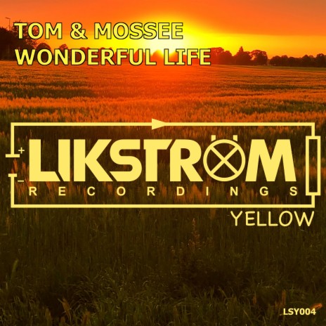 Wonderful Life (Deep Melodic Edit) | Boomplay Music