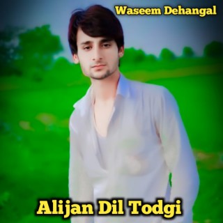 Alijan Dil Todgi