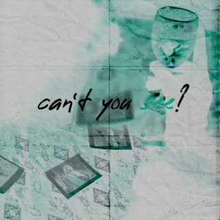 can't you see? (pack)