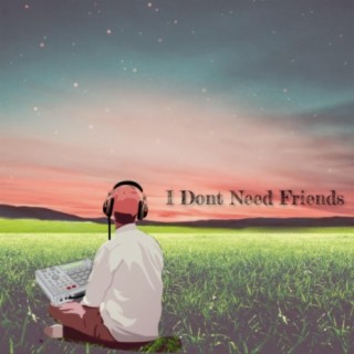 I Dont Need Friends
