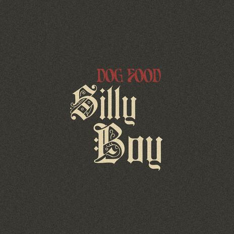 Silly Boy | Boomplay Music