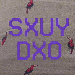 SXUYDXO: Unfinished Demos, Phone Recordings