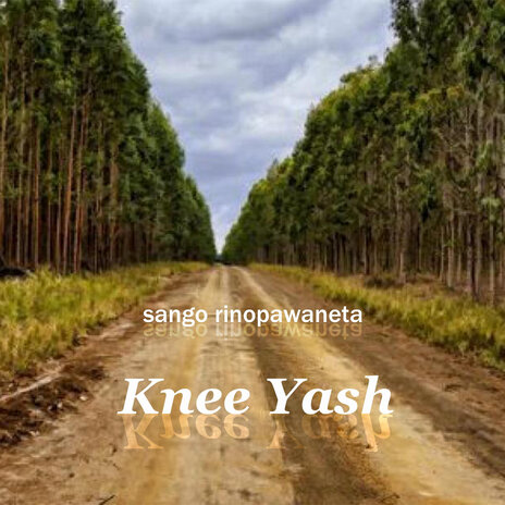 Sango Rinopa Waneta | Boomplay Music