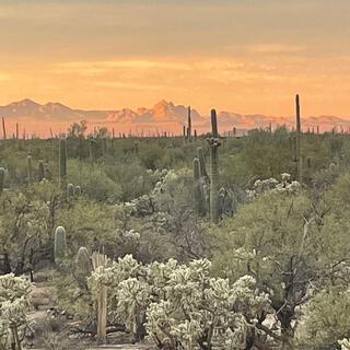 Sonoran Sanctuary