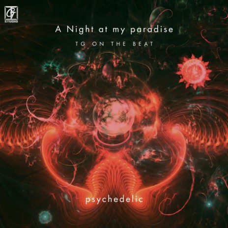 A Night At My Paradise | Boomplay Music