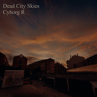 Dead City Skies