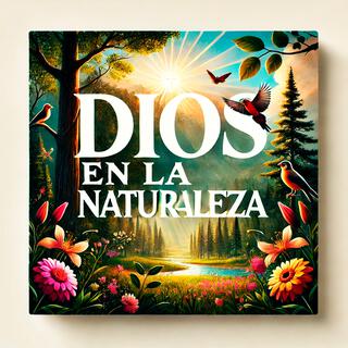 La grandeza de Dios (en la naturaleza)