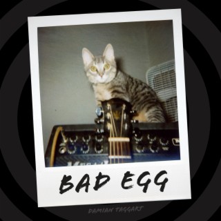 Bad Egg lyrics | Boomplay Music