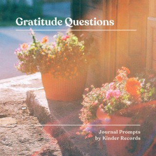Gratitude Journal Questions