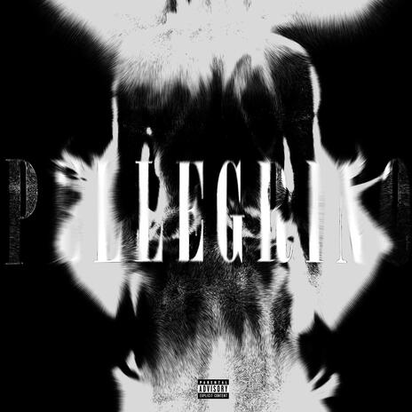 PELLEGRINO ft. FXST | Boomplay Music