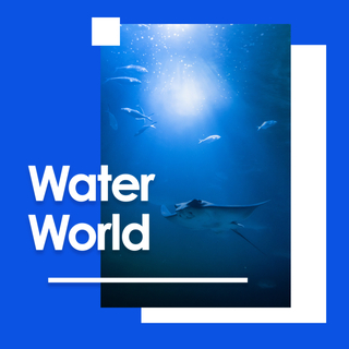 Water World