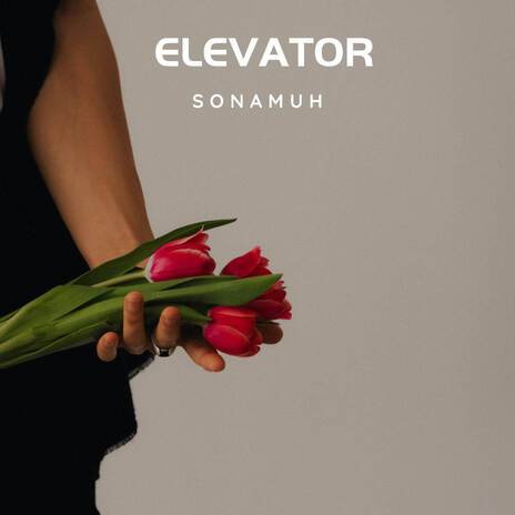 Elevator | Boomplay Music