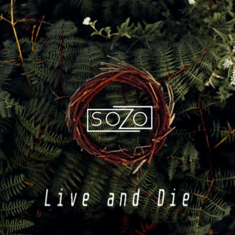 Live and Die | Boomplay Music