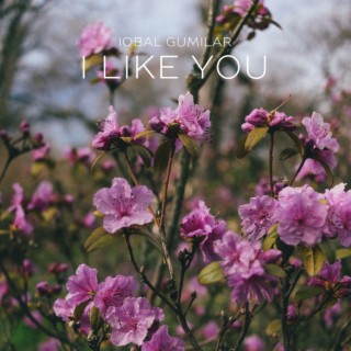 I Like You (A Happier Song) - Acoustic Guitar