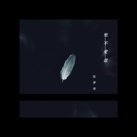 他不愛我 | Boomplay Music