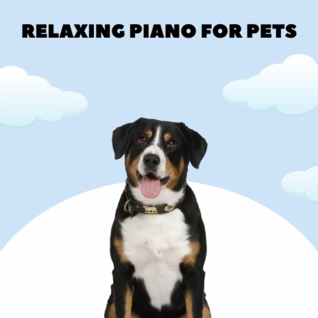 Dog Relax Music ft. sleepy dogs | Boomplay Music