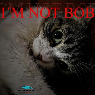 i´m not bob