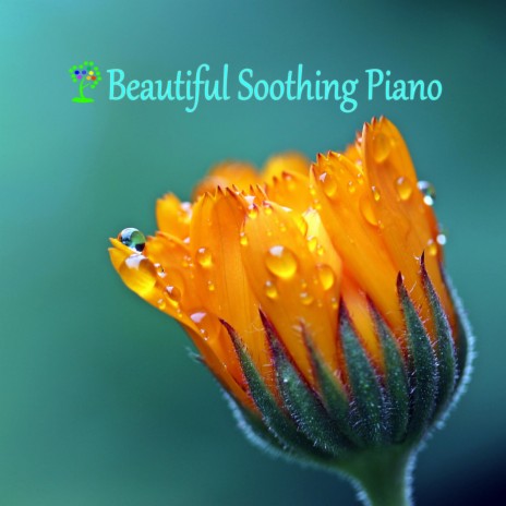 Soft Gentle Piano Background