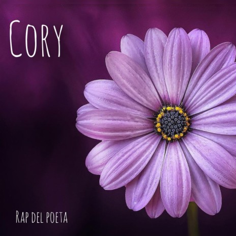 Cory | Boomplay Music