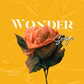 Wonder lyrics | Boomplay Music