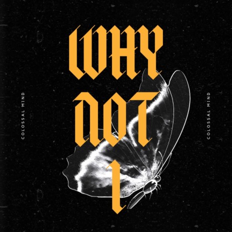 Why Not I | Boomplay Music