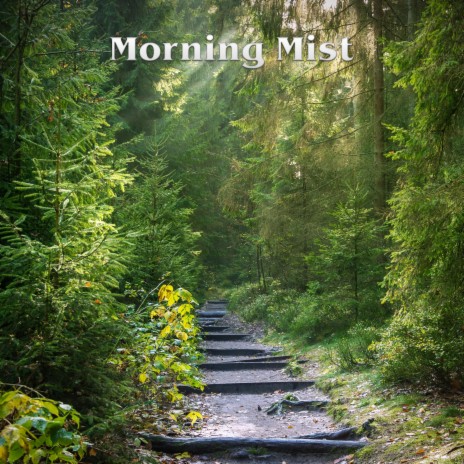 Every Morning Shines | Boomplay Music