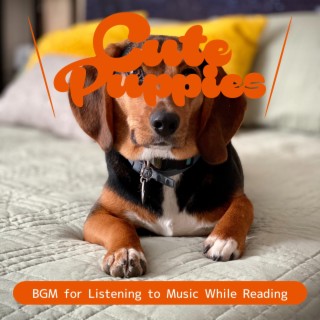 BGM for Listening to Music While Reading