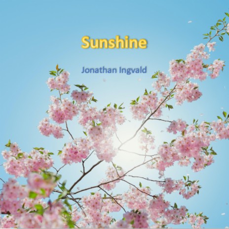 Sunshine | Boomplay Music