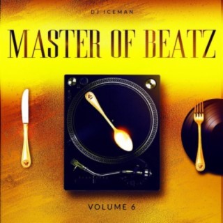 Master Of Beatz, Vol. 6